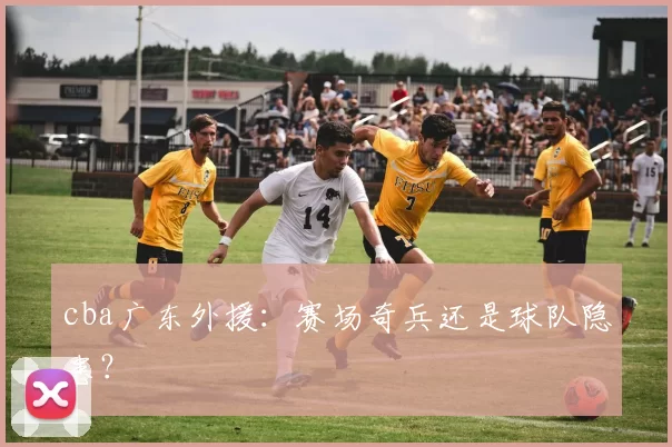 cba广东外援：赛场奇兵还是球队隐患？