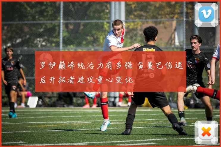 罗伊巅峰统治力有多强 黄曼巴伤退后开拓者进攻重心变化